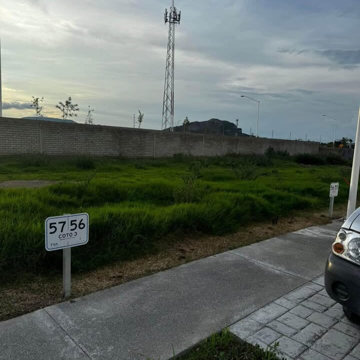 459021050_429804822922996_1428253446321439806_n