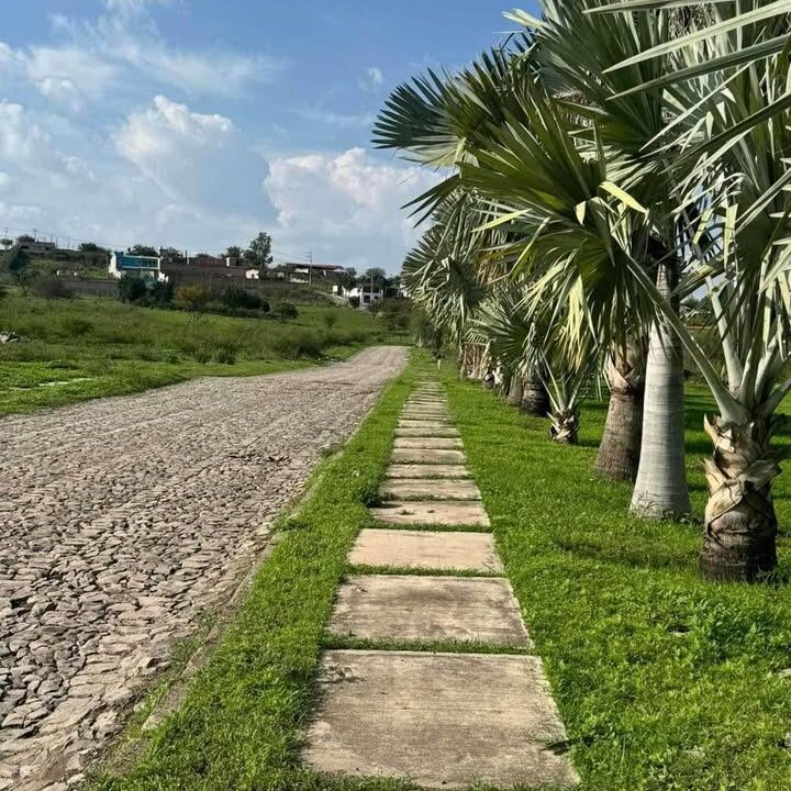 461318837_1084014076464558_87340378291877728_n