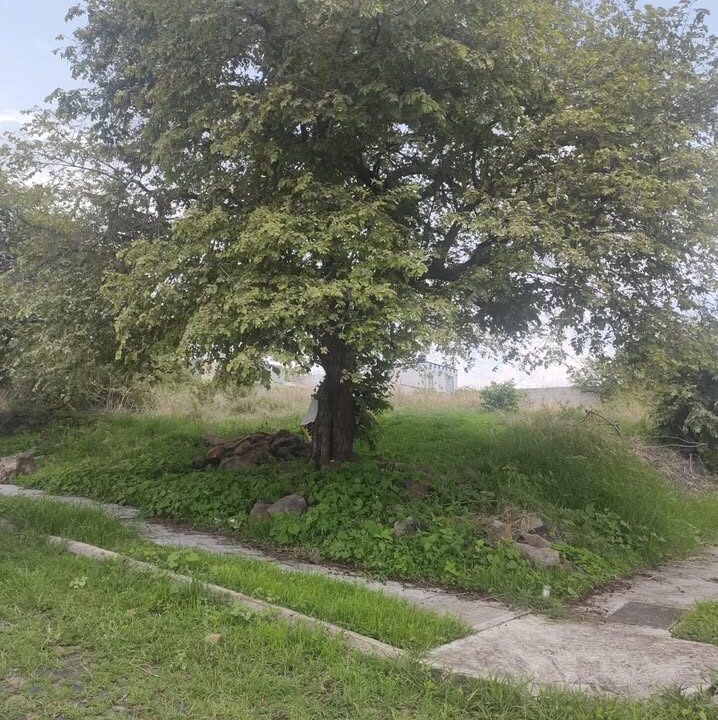 467244531_1111871973844247_6041672618886686720_n