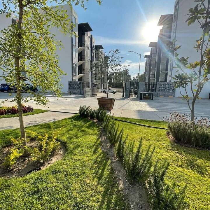 468439855_1116237112726725_8189502560856823580_n