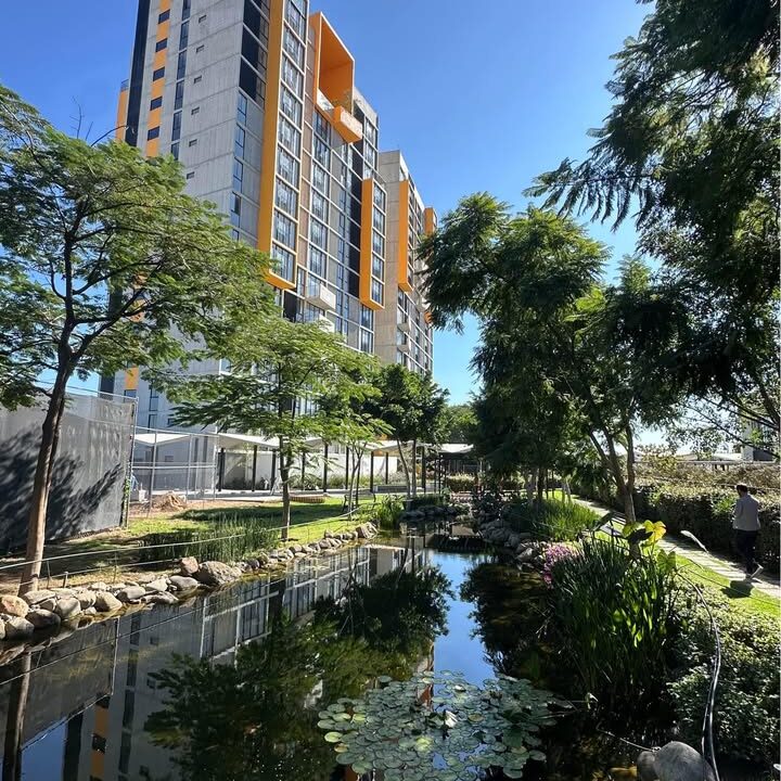 474725643_1354544975915561_5531397095126422068_n