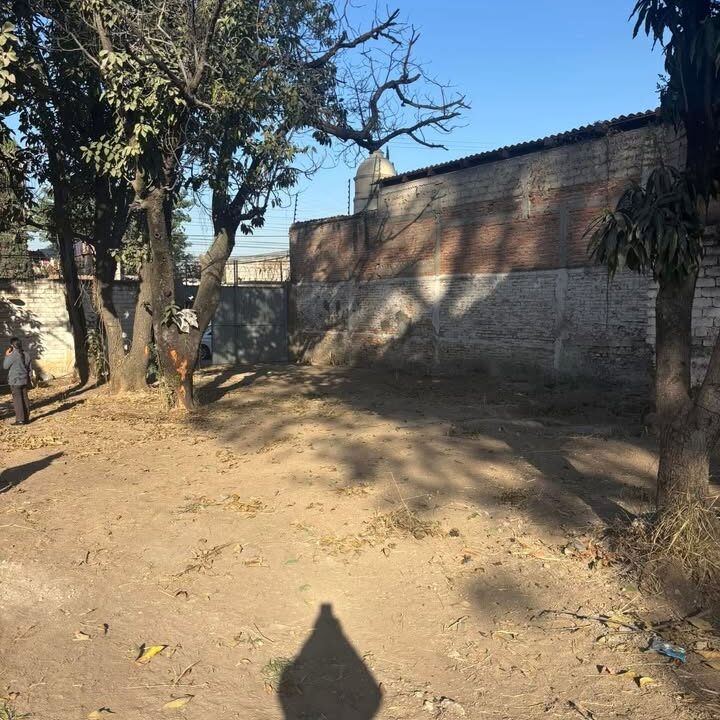 475932965_1149290292785959_4548707323527375317_n