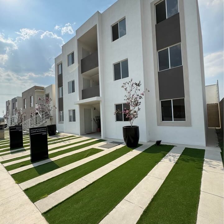 480565008_3709644622512803_3914361530252111134_n